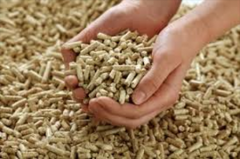 Wood Pellet Market in China and Southeast Asia